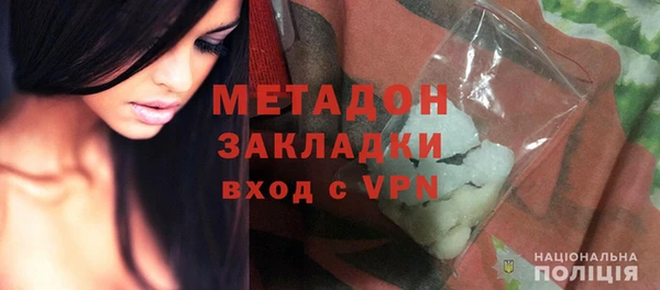 прущие грибы Гусь-Хрустальный