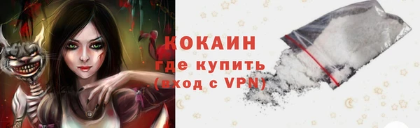 apvp Горняк