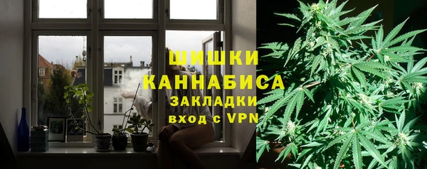прущие грибы Гусь-Хрустальный