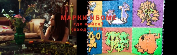 прущие грибы Гусь-Хрустальный