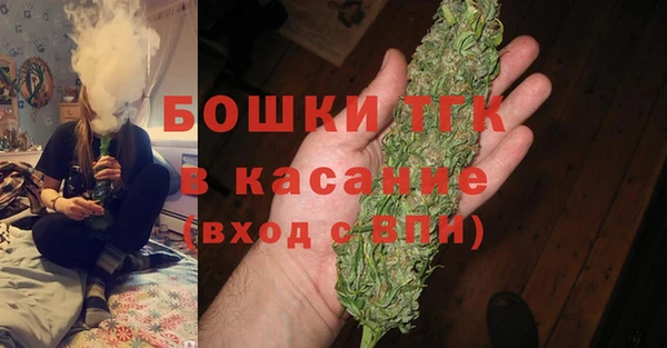 прущие грибы Гусь-Хрустальный