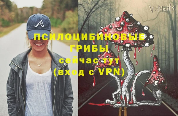 прущие грибы Гусь-Хрустальный