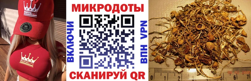 Псилоцибиновые грибы MAGIC MUSHROOMS  Камышин 