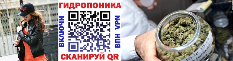 Шишки марихуана Bruce Banner  где найти   Камышин 